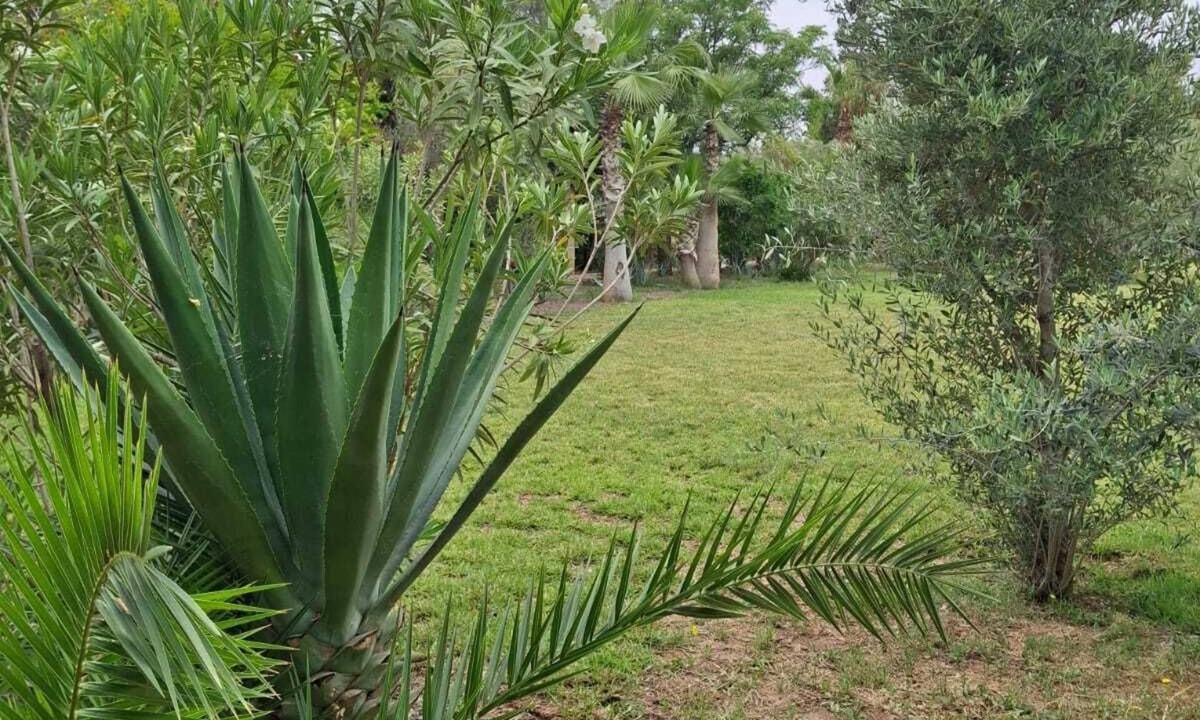 Annakhil House | Beautiful estate - for very large groups - Palm grove