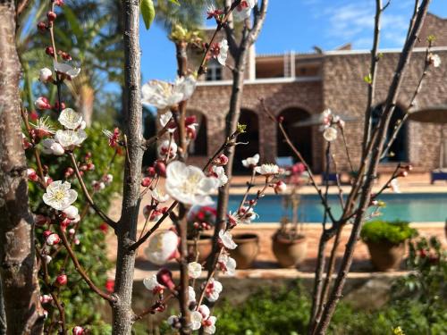 Ida Ougourd Bed & Breakfast | chambres d'hôtes des 1001 Étoiles Essaouira avec piscine