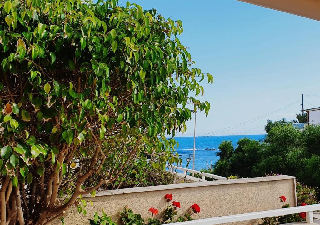 Cala Reona Apartment | Entrecalas Cabo de Palos