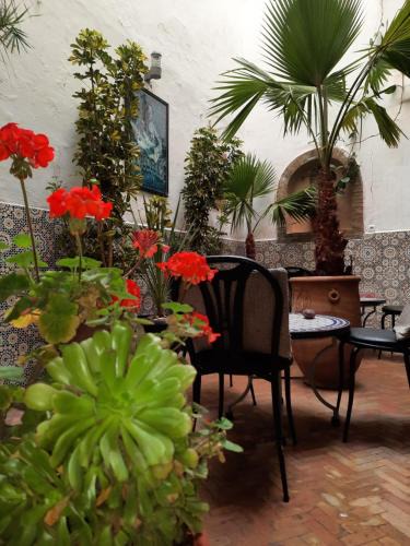 Medina Hotel | Hostel & Riad