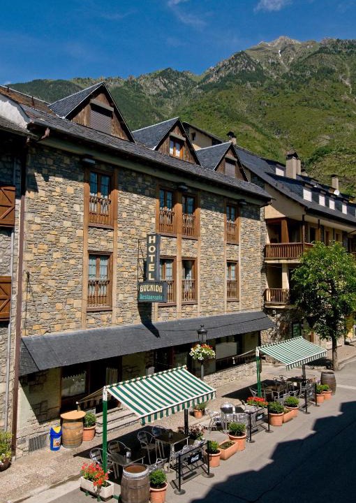 Benasque Hotel | Hotel Avenida Benasque