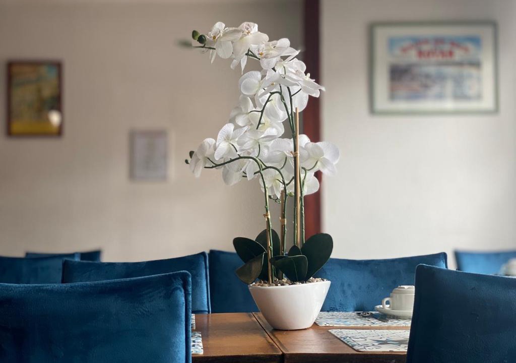 Royan Hotel | Hotel le Pasteur