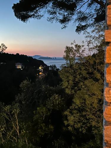 Sa Riera Apartment | La Coma Sa Riera