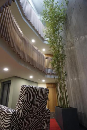 Mondonedo Apartment | Lumen Place APARTAMENTOS