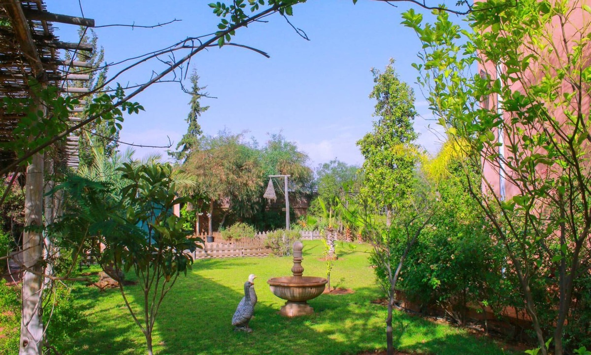 Aghouatim House | Magnificent house with a large swimming pool surrounded by olive trees and natu.