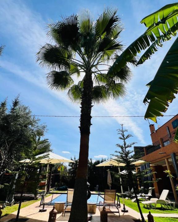 Tamazouzte Villa | Villa avec Piscine Chauffée Privée pour Familles