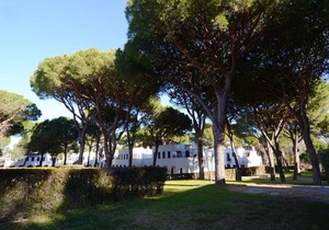 Piverd Del Golf 11 in Pals