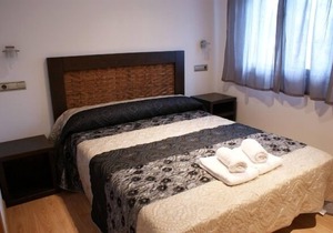 Puerta de Ordesa Apartamentos for 2 people in Laspuña