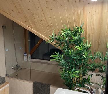 Canfranc-Estacion Apartment | Ático Dúplex reformado con vistas a la montaña
