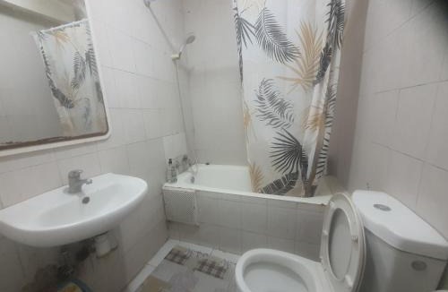 Talborjt House | Ahmed house
