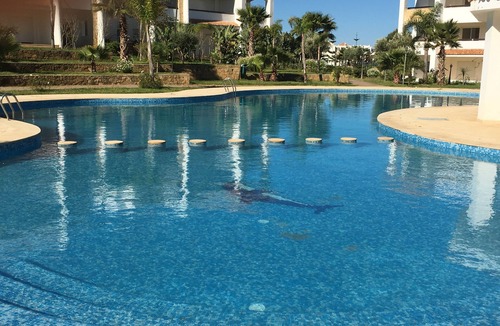 Asilah Apartment | apartment 5 people, golf & sea, many swimming pools, tennis