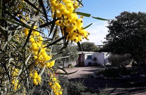 Sidi Kaouki House | Cabane Jaune 2 persons Swimming pool and yoga