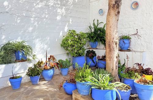 Chefchaouen Apartment | Casa Olea Vista | Stunning Views & Relaxing Getaway