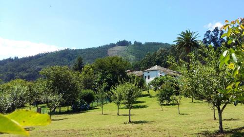 Viveiro House | Corredoira