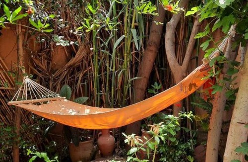 Ouzoud House | DAR OUZOUD Vegan