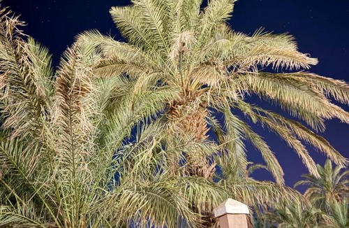 Amezrou House | Dar Zagora Oasis - Authentic Moroccan Stay