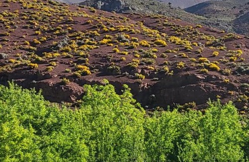 Ighil N'Oumgoun House | Gite d'étape La terre Amazigh
