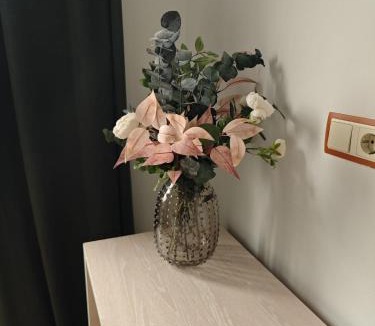 Arroyo de la Vega House | Hostal Fronton
