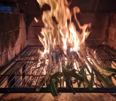 Hortiguela House | Hostal La Moruga