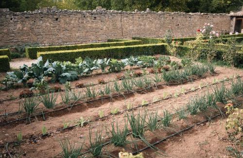 Arnes Hotel | Hotel Hort De Fortunyo