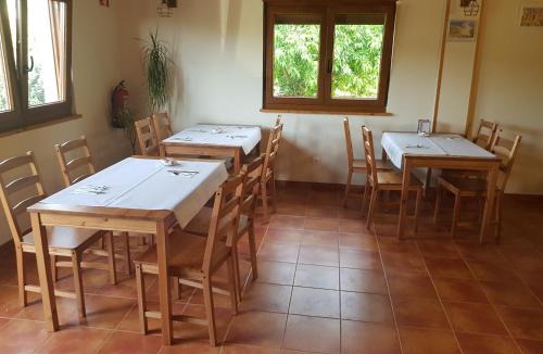 Orena Hotel | La Oliva