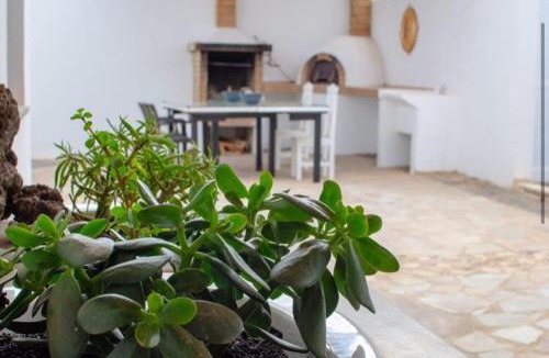 Playa Blanca Apartment | Las Arecas Apartment
