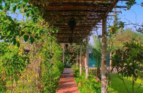 Aghouatim House | Magnificent house with a large swimming pool surrounded by olive trees and natu.