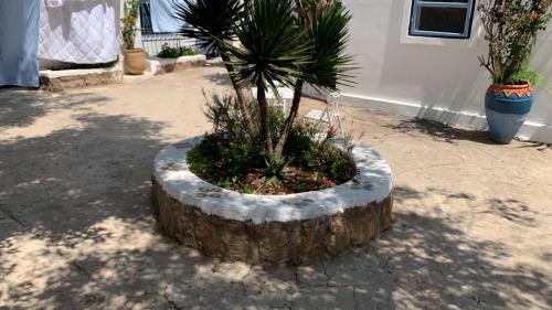 Tamariss Hostel | Maison