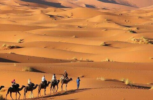Taouz Hotel | Merzouga Luxury Glamping