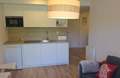 Candanchu Apartment | Modern mountain studio - 4 guests