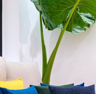 Riad Zitoun Jdid House | Riad Dar Amarena Exclusif BreakFast