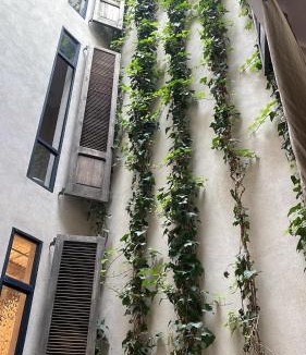 Zaouia Sidi Rhalem House | Riad HOUSE REDMERY