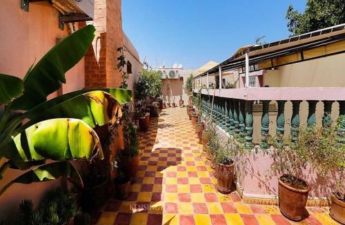 Sidi Bou Amar House | Ryad Bianco