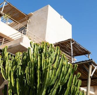 Ida Ougourd House | Smala Beldi Guest House