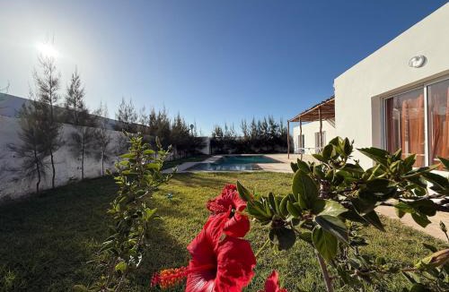 Ghazoua Apartment | Villa BERBÈRE