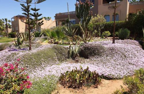 Arbaa Sahel Villa | Villa bord de mer, piscine, fibre internet, Sidi Boulfdail, Mirleft