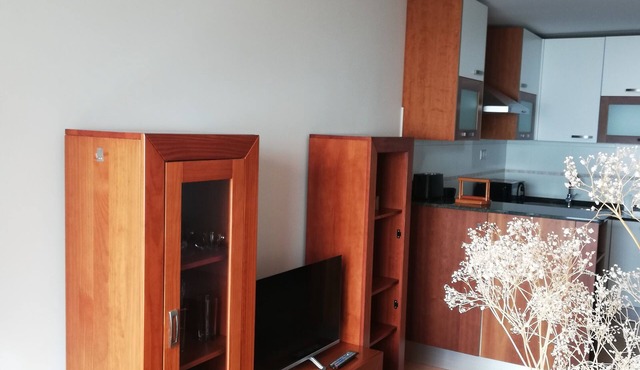 1ST LINE BEACH APARTMENT in Ribeira