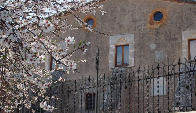 Accommodation in a winery, surrounded by biodynamic vineyards! in Grabuac