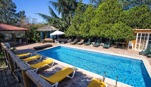 An oasis for up to 26 nature loving guests! in Sils