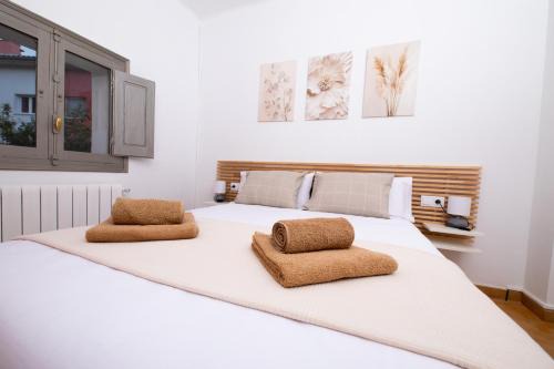 Apartament La Plana in Campdevánol