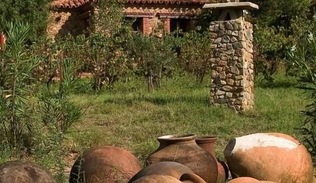 Beautiful stone house El Buho in Alejar