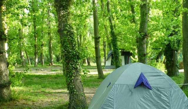 Camping Valle del Andarax in Fondón