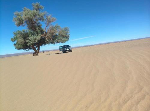 Chegaga Starlight Camp - Mhamid Desert Haven in Mhamid