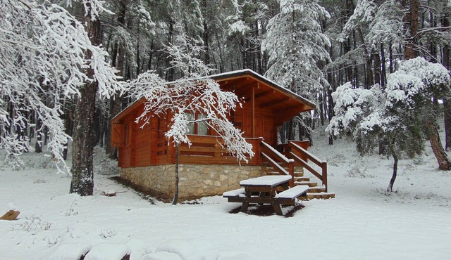El Llano de los Conejos Cabins - Cabin 5 in Cañamares