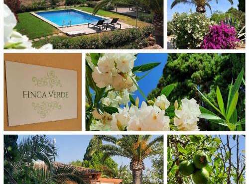 Finca Verde in Llucmajor
