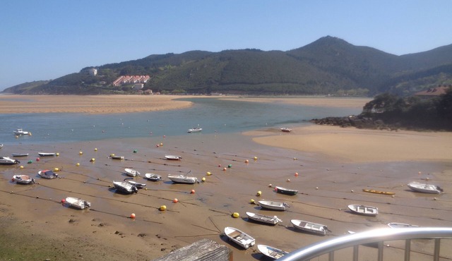Holidays in the Urdaibai Biosphere Reserve Access through Operator. in Sukarrieta