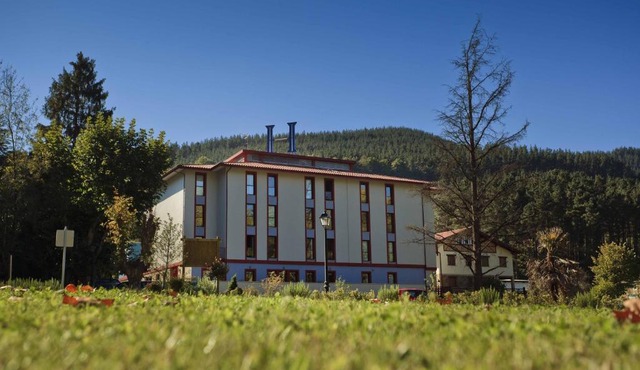 Hotel Balneario Areatza Nº 01224 in Areatza