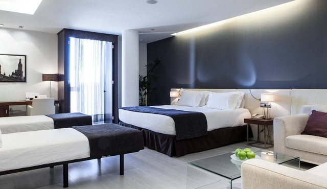 Hotel Diagonal Plaza in Zaragoza