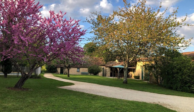 In a green setting, pretty farm (producing walnuts and strawberries), swimming pool in Cendrieux