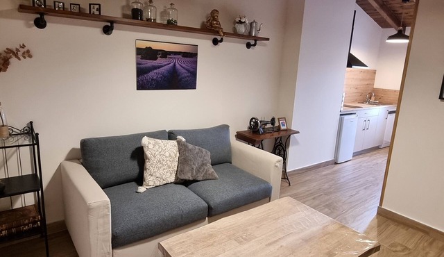 Industrial Apartment in Alcolea del Pinar